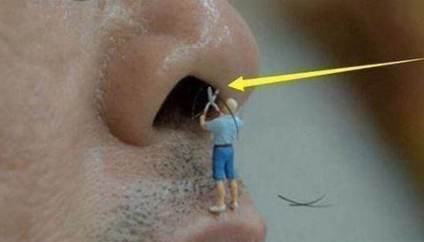 鼻毛「跑」出來，該拔掉還是剪掉！醫生提醒：儘量別再干傻事了