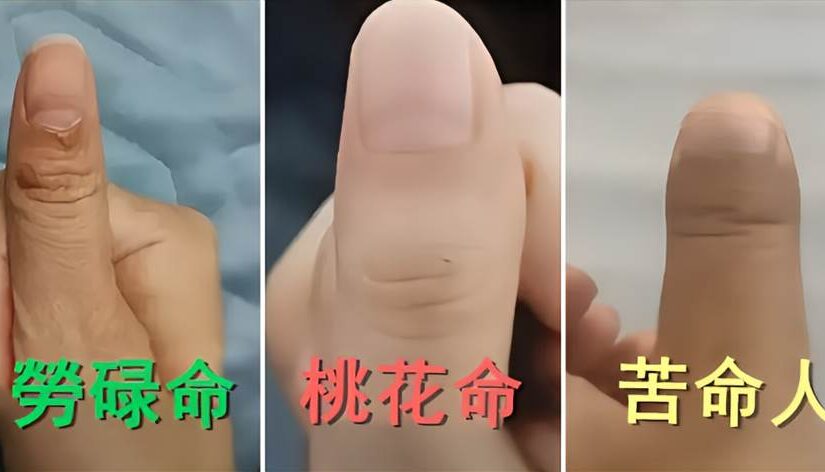 「拇指形狀」看出你是哪種命！「勞碌、桃花命」超常見…網看「有福命」跪了：太稀有