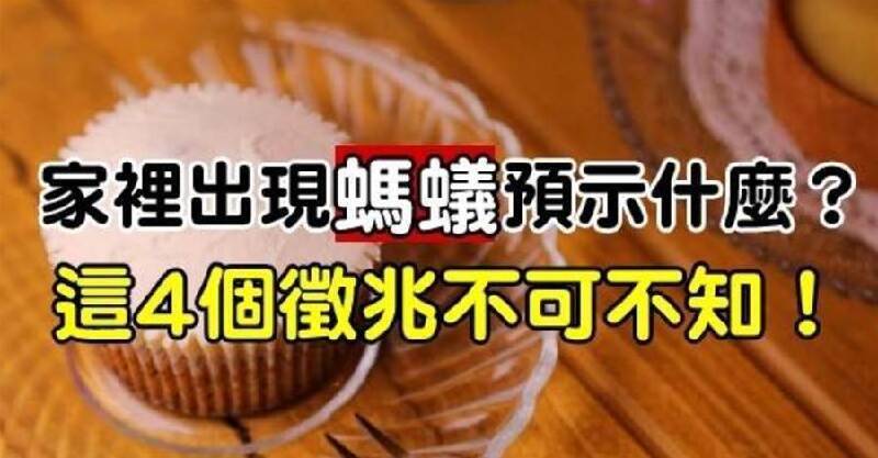 家裡突然出現很多螞蟻？風水預示「4個徵兆不可不知」大家千萬別大意了