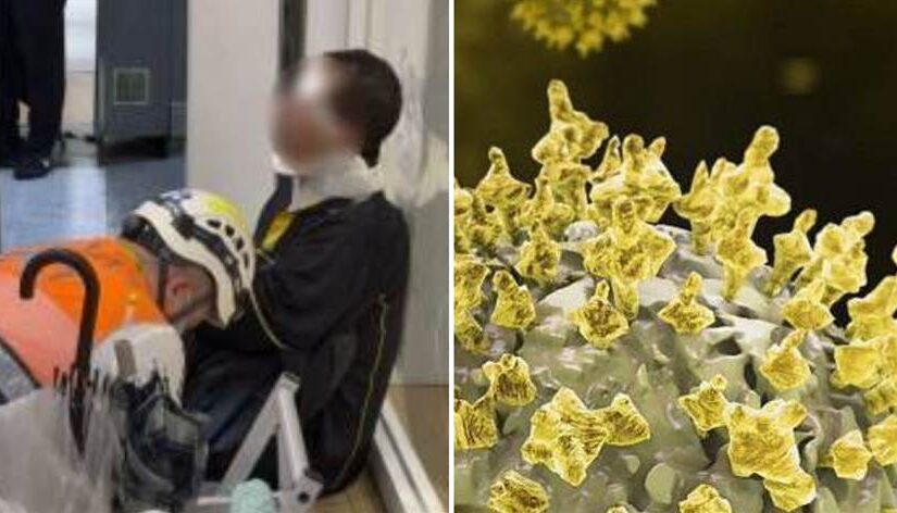 快訊/ 立百病毒超毒！印度爆「醫護集體感染」疾管署：勿吃2食物