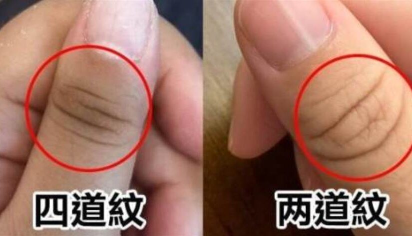 豎起大拇指有幾道紋，預示晚年「福命還是苦命」：太准了!