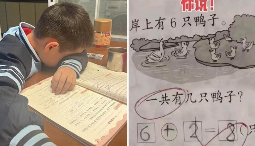 「全班就你兒子做錯了」，6+2=8被判錯，老師解釋後家長繃不住了