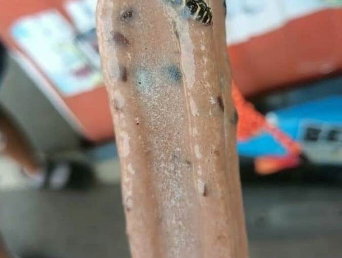 冰棒裡有蛇！他一拆開「清晰圓眼猛盯」嚇傻：融化後悲慘結局曝