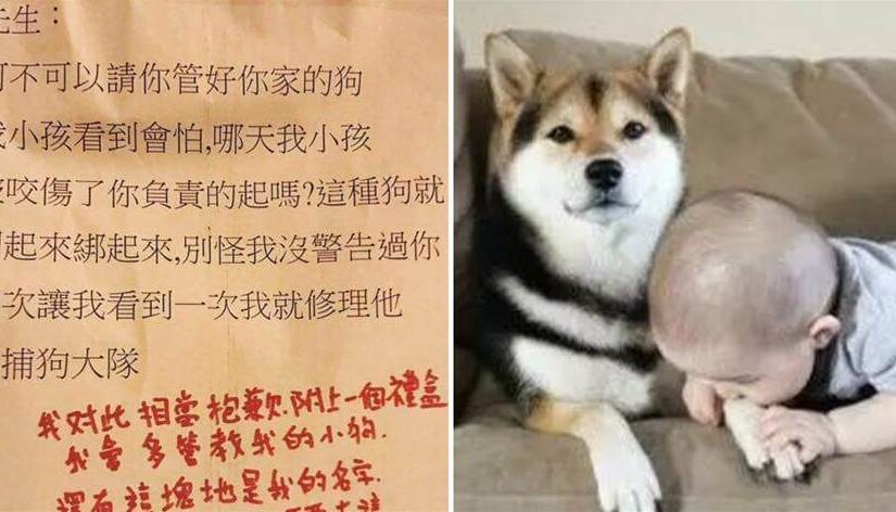 鄰居貼紙條警告「看到狗就修理」！不久後飼主「超有誠意回應」對方不敢再提…