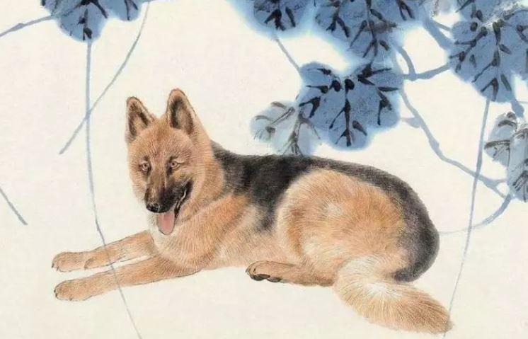 緊急！生肖 屬狗，屬雞，屬牛，屬羊必須看啊！