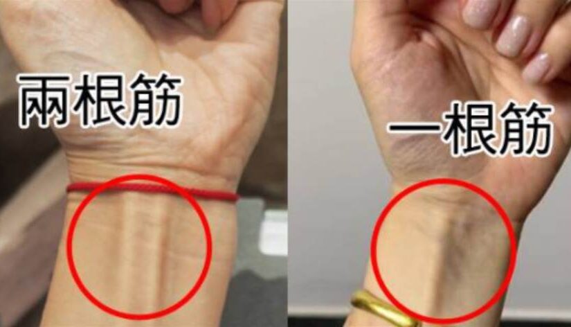 手握拳有幾根筋，預示晚年「福命還是苦命」：太準了