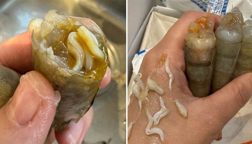 新買的蝦發現有「白蛆」，被嚇的不敢吃，她怒找店家理論卻被嘲：第一次吃海鮮嗎