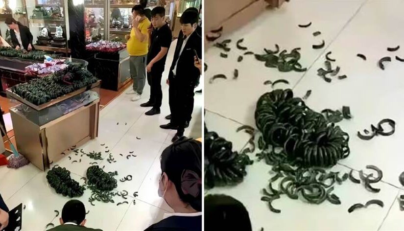 客人不小心撞到櫃台，「玉鐲」破碎一地，店家怒吼：傾家蕩產你也賠不起！
