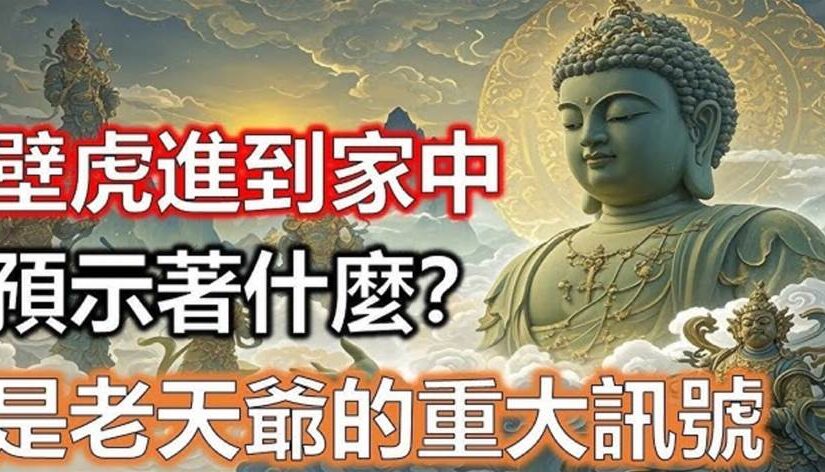 壁虎進到家中，預示著什麼？是老天爺的重大訊號，千萬別不當一回事…