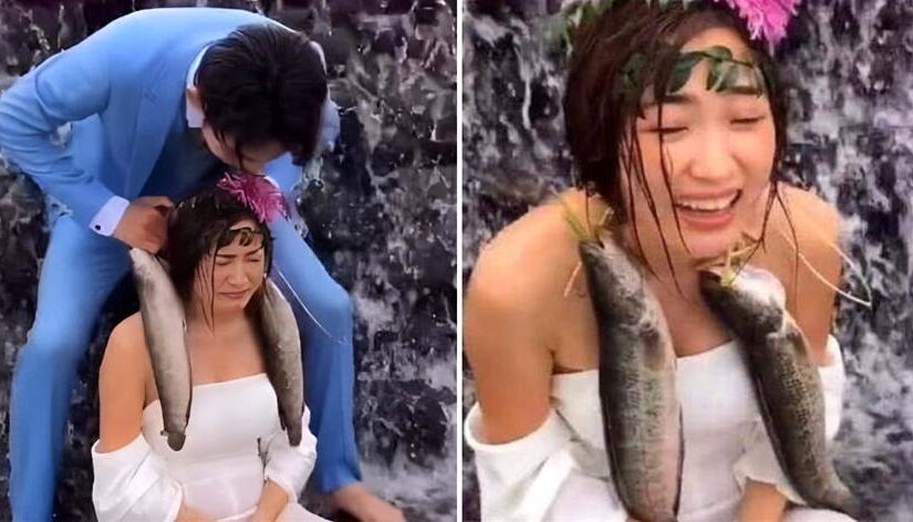 小夫妻拍婚紗照！攝影師「拿兩條魚當道具」，新娘一臉嫌棄，結果被自己「驚艷」到了…