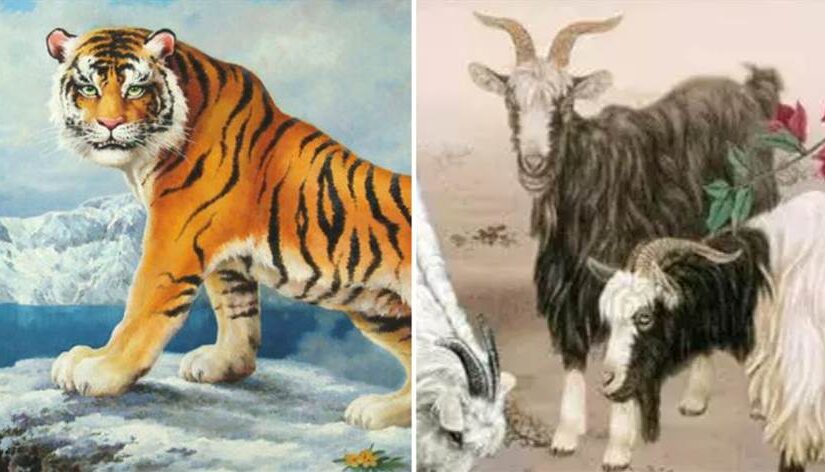 3月20日「春分+土地公生日」屬虎、屬狗、屬羊、屬龍一定要穿「這顏色衣服」財運大漲旺到年尾