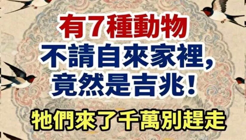 有7種動物不請自來家裡，竟然是吉兆！它們來了千萬別趕走
