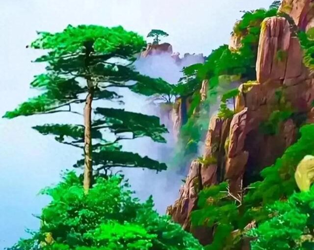 進入人生下半場！如果你「已經50-80歲」了　一定要「花兩分鐘看看」：太清醒了