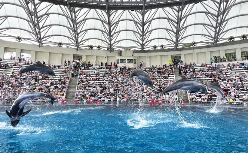 快訊／正式畫下句點！遠雄海洋公園「宣布1事」：珍重再見