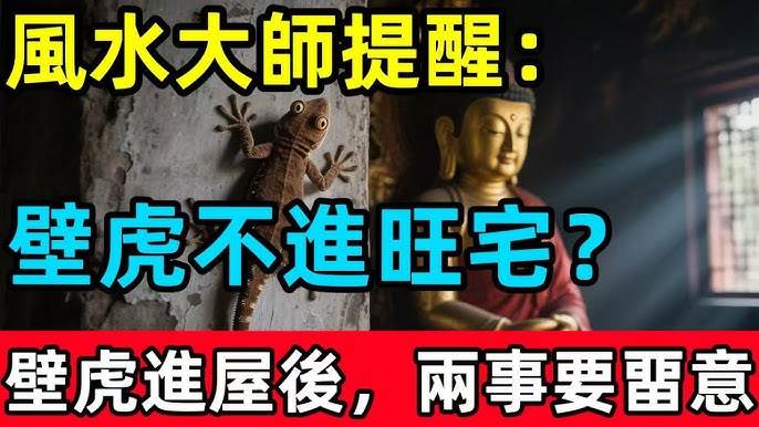 風水大師提醒：壁虎不進旺宅？當壁虎進屋後，這兩件事要畱意…
