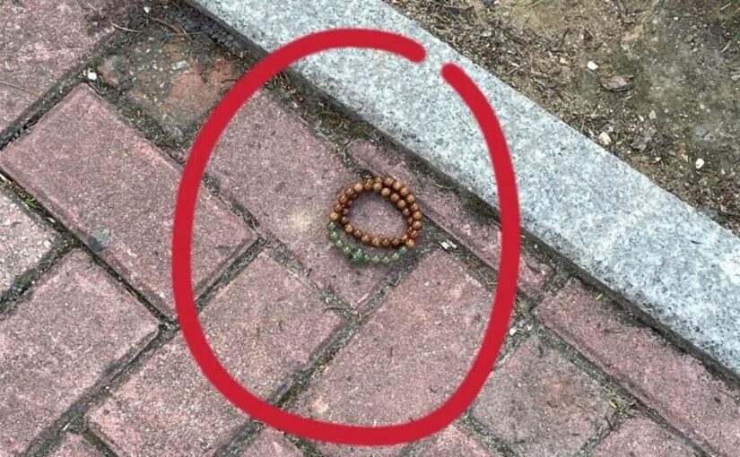 路上驚見「神秘手串」他想撿回家！網嚇瘋急阻：千萬別碰…下場超毛​