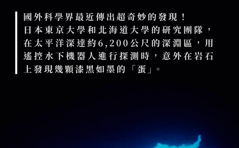 太平洋6千多米深海底冒出神秘「黑蛋」！日本科學家打開一看，裡面竟藏著全新扁蟲生物