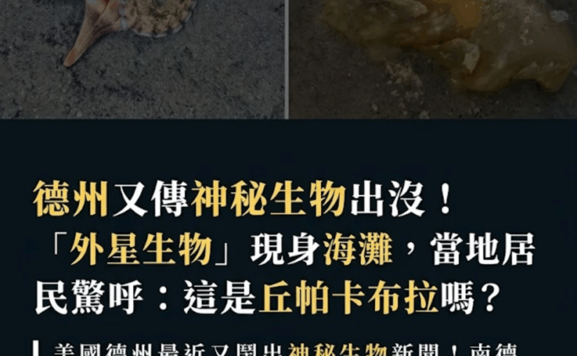 德州又傳神秘生物出沒！「外星生物」現身海灘，當地居民驚呼：這是丘帕卡布拉嗎？