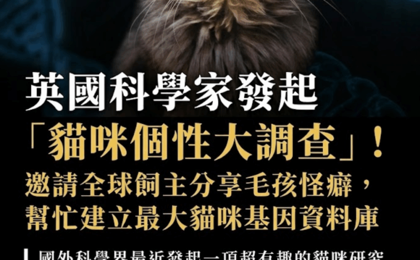 英國科學家發起「貓咪個性大調查」！邀請全球飼主分享毛孩怪癖，幫忙建立最大貓咪基因資料庫