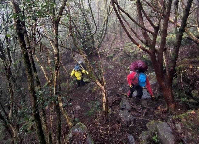 90歲父親被兒子丟進深山，8年後夫妻重回山裡，熟悉聲音讓兩人當場發抖