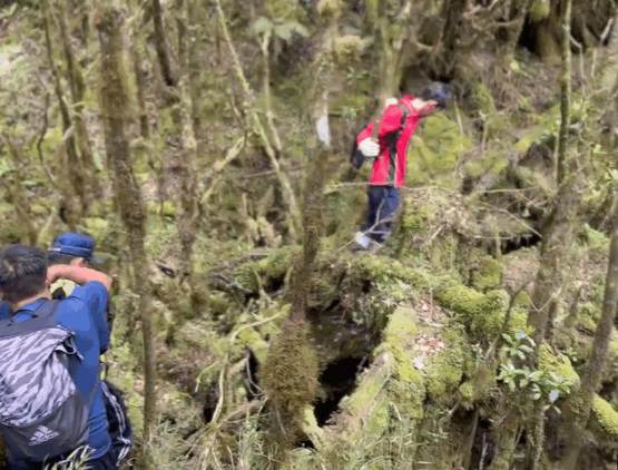 90歲父親被兒子丟進深山，8年後夫妻重回山裡，熟悉聲音讓兩人當場發抖