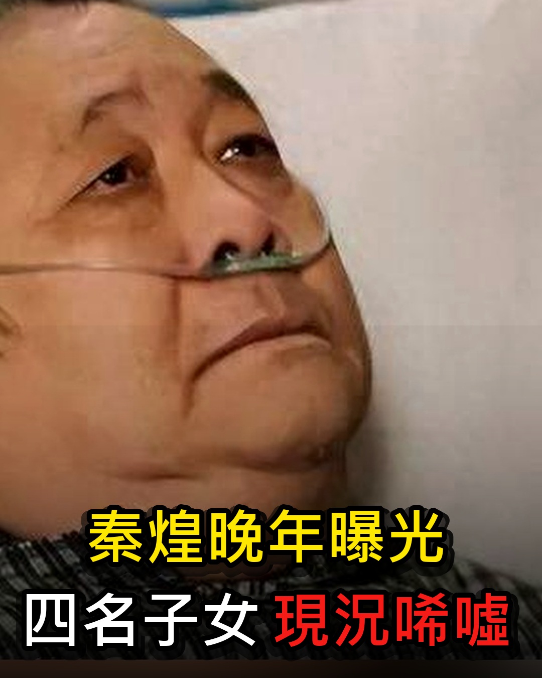 秦煌晚年生活曝光,感情風波與家庭關係成遺憾,四名子女現況讓人唏噓