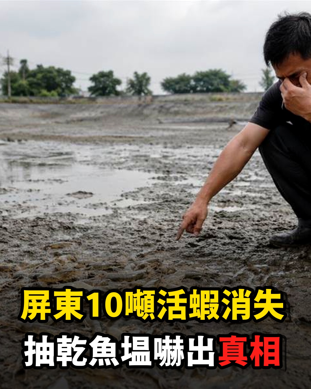 10噸活蝦一夜全消失!屏東魚塭主氣炸抽乾水尋找真兇,看到湖底的東西後他嚇傻了...