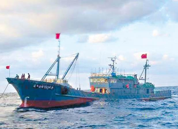 網路流傳「533斤巨蠔」賣出70萬,60歲漁民為孫冒險出海,開殼後的轉折讓全場沉默