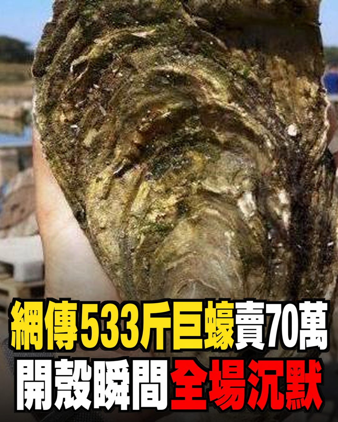 網路流傳「533斤巨蠔」賣出70萬,60歲漁民為孫冒險出海,開殼後的轉折讓全場沉默