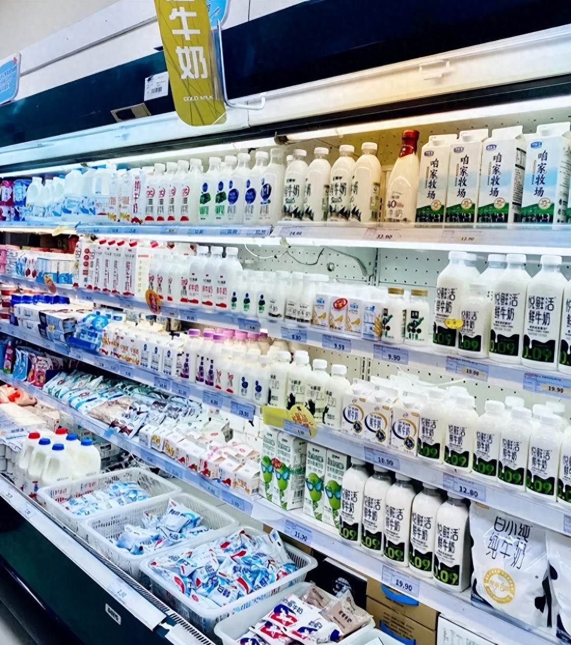 這3種牛奶先別急著買！超市員工提醒，挑選前先看清楚標示