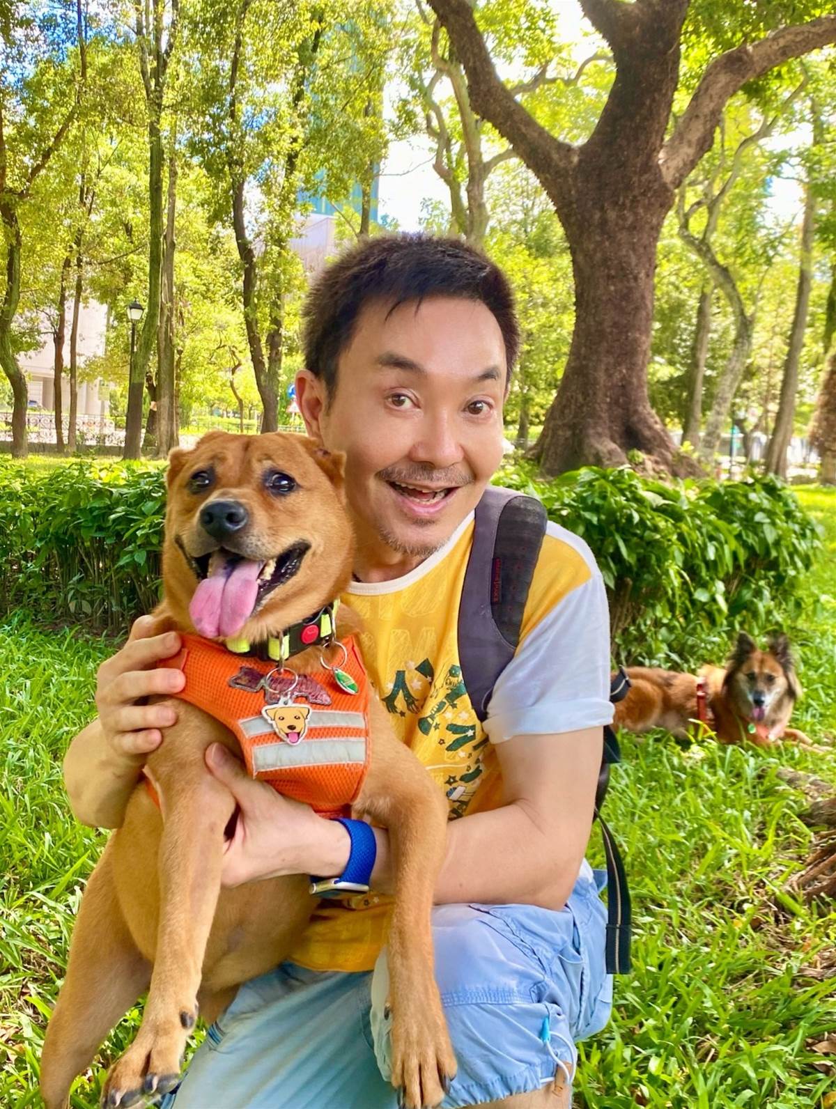 每月近90萬元照顧200多隻浪犬,73歲楊懷民坦言真的快撐不住
曾以「歌仔戲第一小生」走紅的楊懷民,近年淡出演藝圈,不只是因為早年拍攝古裝戲累積的腰、腿與膝蓋負擔,也因身體陸續出現自律神經、心跳與腸胃方面的不適。更沉重的是,他長期照顧園區裡200多隻浪犬,光是8名工作人員、飼養、醫療與手術,每月支出就可能達到80至90萬元,8年下來累計投入超過4000萬元。身體不能久彎、戲約也只能一再推掉,他坦言幾乎靠積蓄苦撐,直到募款計畫上路才稍微喘口氣。當他對園區裡的狗說「你們要比我先走,不然誰照顧你們」,背後真正放不下的,究竟是金錢壓力、健康負擔,還是多年累積的責任?
(詳細內容請見留言)