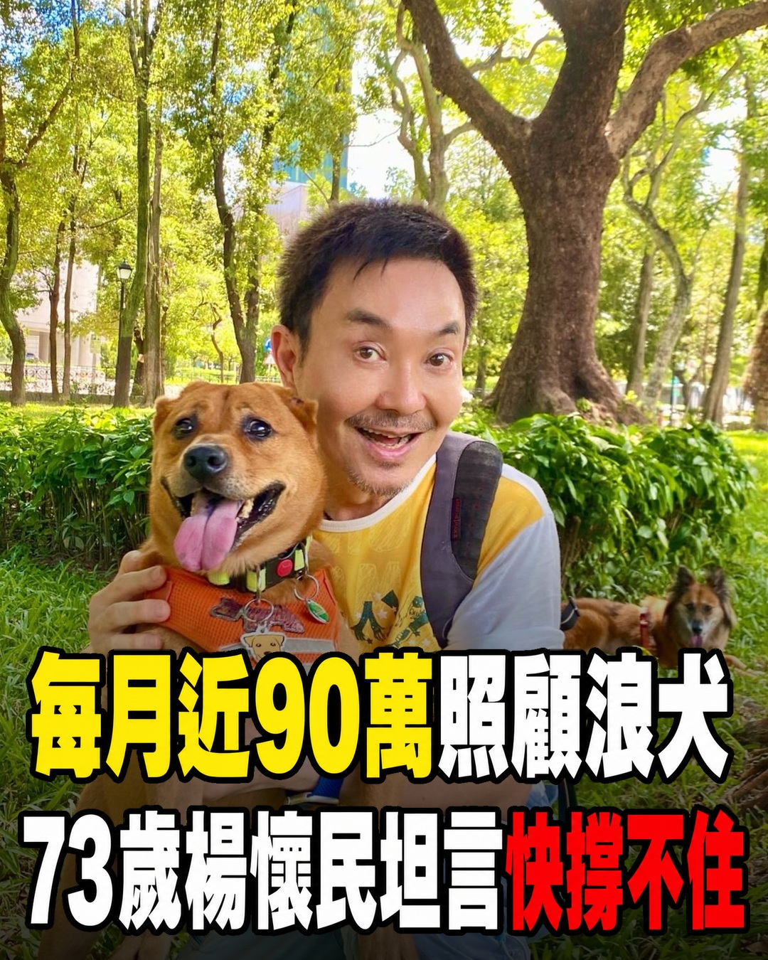 每月近90萬元照顧200多隻浪犬,73歲楊懷民坦言真的快撐不住
曾以「歌仔戲第一小生」走紅的楊懷民,近年淡出演藝圈,不只是因為早年拍攝古裝戲累積的腰、腿與膝蓋負擔,也因身體陸續出現自律神經、心跳與腸胃方面的不適。更沉重的是,他長期照顧園區裡200多隻浪犬,光是8名工作人員、飼養、醫療與手術,每月支出就可能達到80至90萬元,8年下來累計投入超過4000萬元。身體不能久彎、戲約也只能一再推掉,他坦言幾乎靠積蓄苦撐,直到募款計畫上路才稍微喘口氣。當他對園區裡的狗說「你們要比我先走,不然誰照顧你們」,背後真正放不下的,究竟是金錢壓力、健康負擔,還是多年累積的責任?
(詳細內容請見留言)