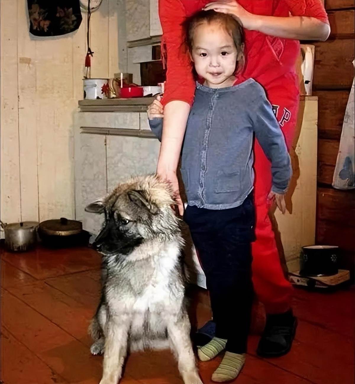 14年前俄羅斯3歲女童和狗一同失蹤,11天後狗叼來髮圈,救了她一命