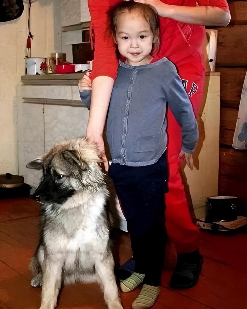 14年前俄羅斯3歲女童和狗一同失蹤,11天後狗叼來髮圈,救了她一命