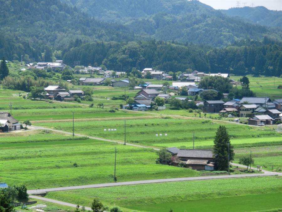 鄰居出100萬買老家我硬開120萬，3年後返鄉推開門「眼前一幕」讓我悔到睡不著