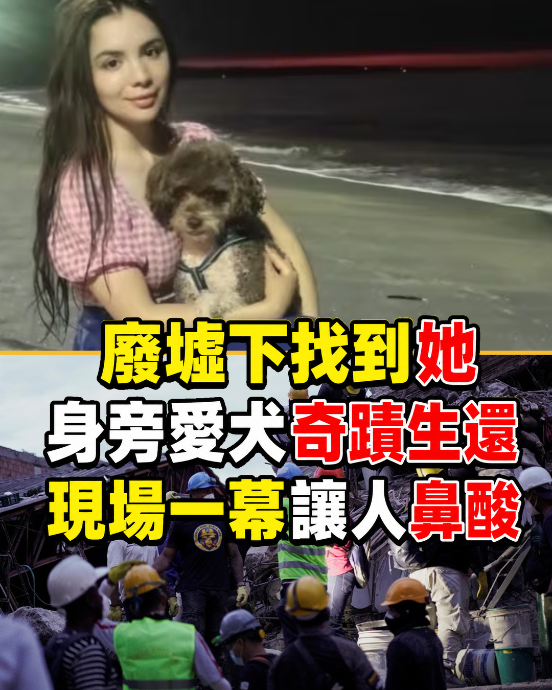 7.4強震後搜救隊在廢墟找到女律師,身旁愛犬毫髮無傷,現場位置讓人鼻酸