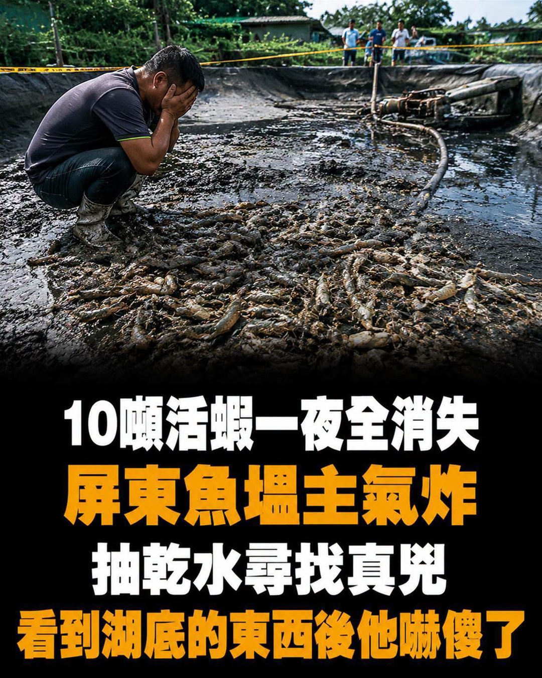 10噸活蝦一夜全消失!屏東魚塭主氣炸抽乾水尋找真兇,看到湖底的東西後他嚇傻了