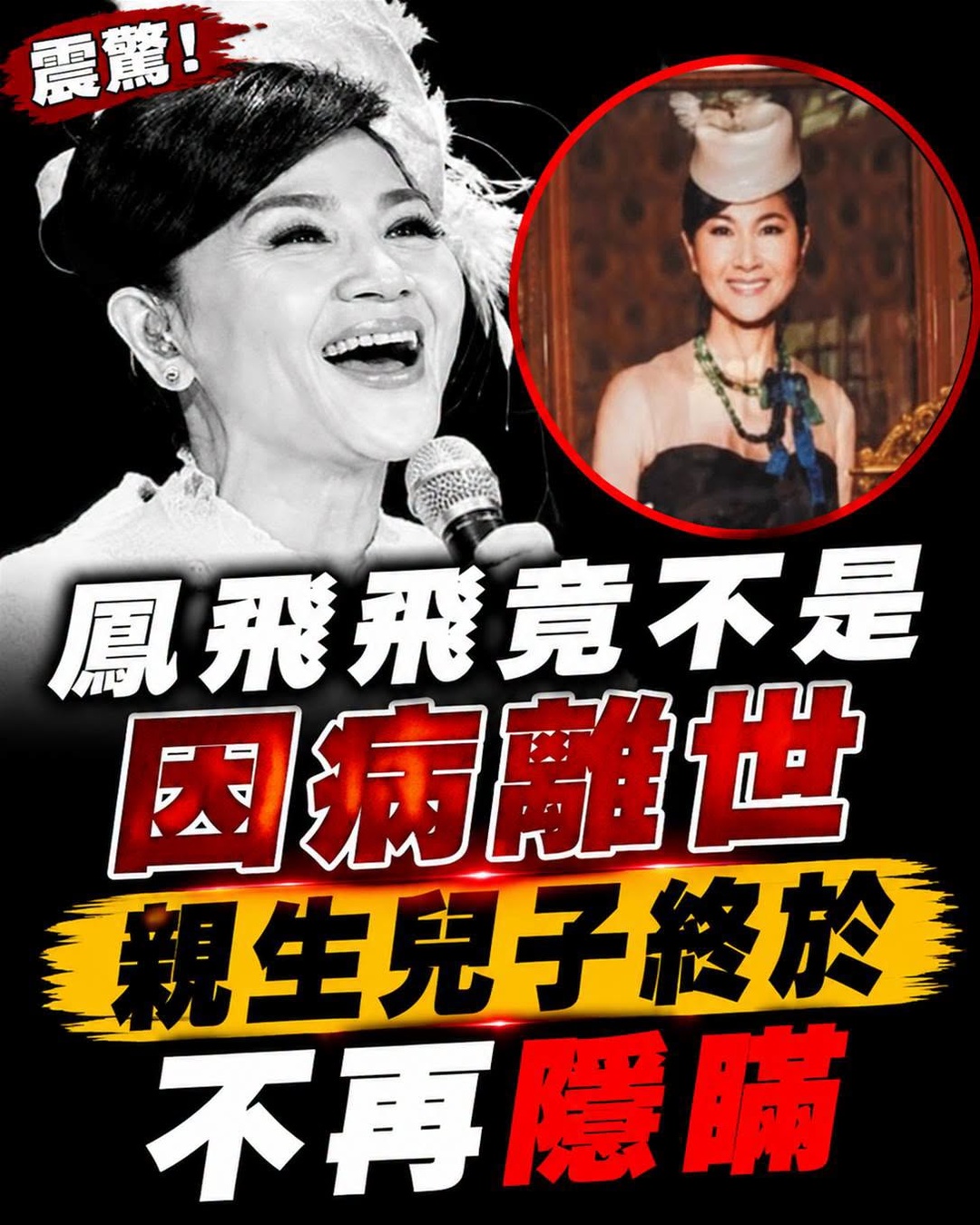 鳳飛飛去世17年，親生兒子終於不再隱瞞！崩潰痛哭母親離奇去世真正原因，原來我們都被騙了