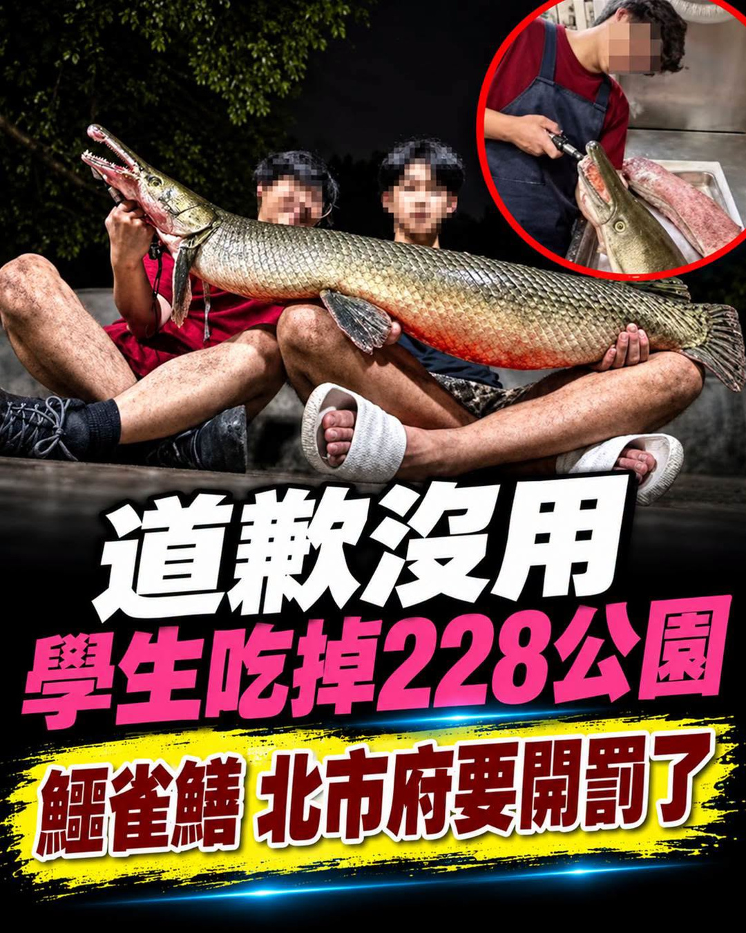 學生釣走228公園鱷雀鱔還帶去熱炒,北市府祭出3千元處分