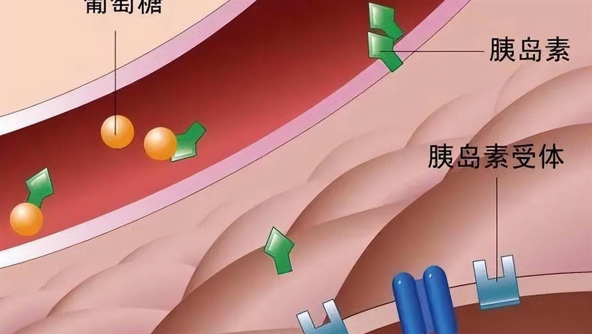 57歲大叔確診糖尿病,天天吃玉米半年後回診,醫師看完報告竟追問這一句