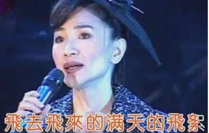 鳳飛飛兒子罕見發文反對紀念館,母親臨終遺願為何多年後再被提起
