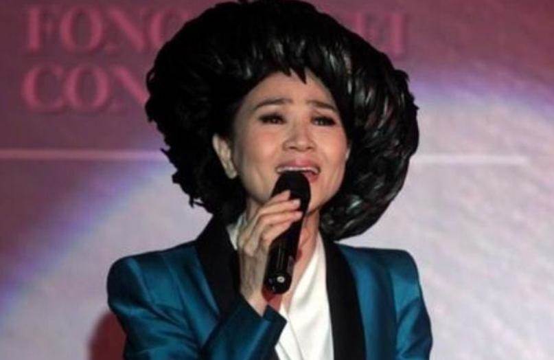 鳳飛飛兒子罕見發文反對紀念館,母親臨終遺願為何多年後再被提起