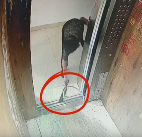 阿嬤拿菜刀擋電梯門,刀具掉進縫隙仍硬搭,下一秒電梯門竟變形