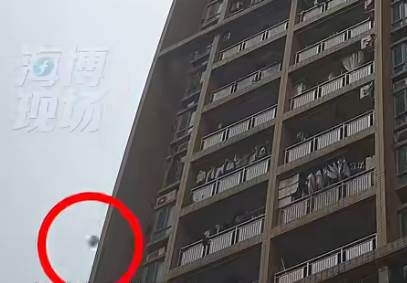 烏龜從高處墜落砸中男童,孩子不幸身亡,飼主責任成法院判決關鍵