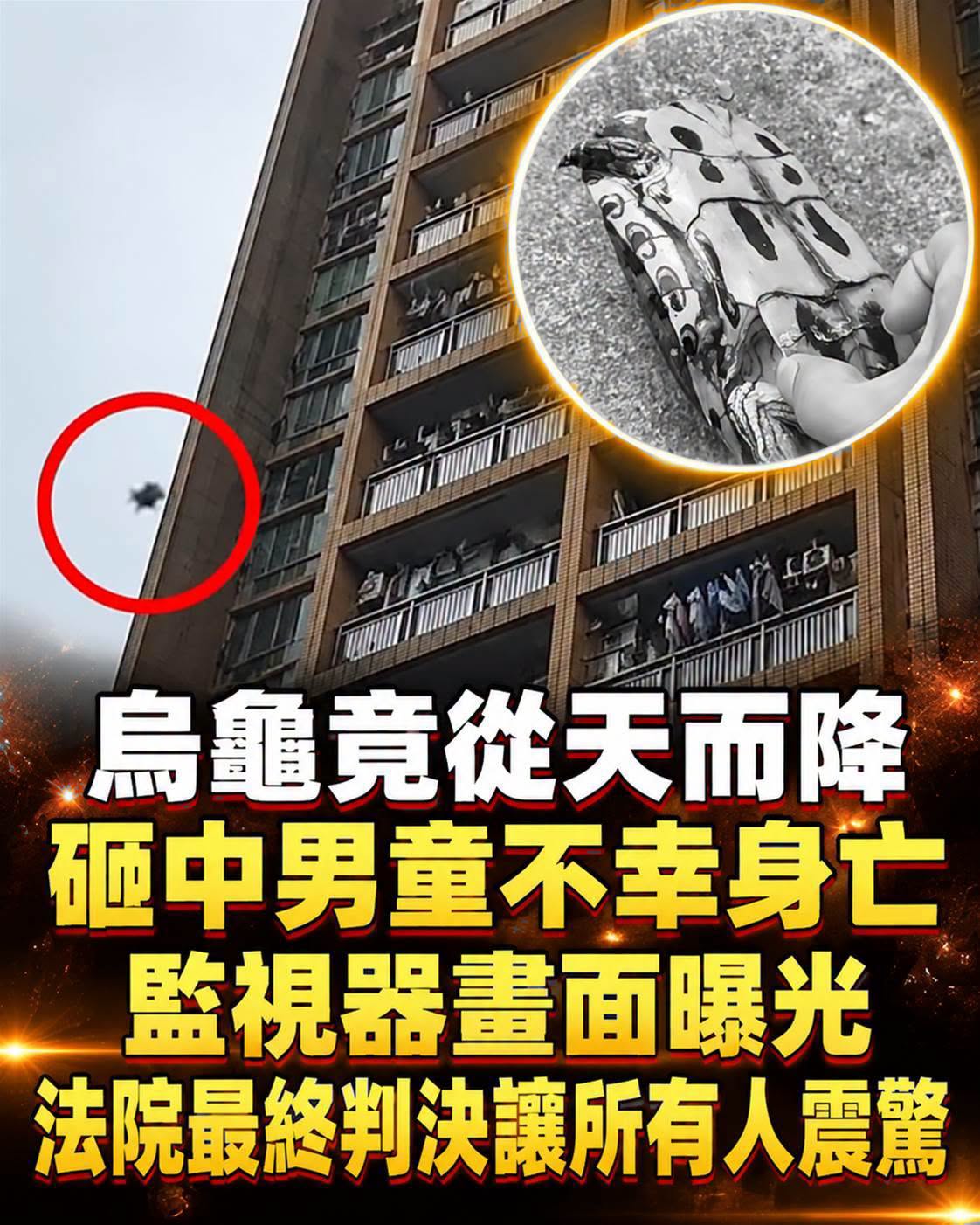 烏龜從高處墜落砸中男童,孩子不幸身亡,飼主責任成法院判決關鍵