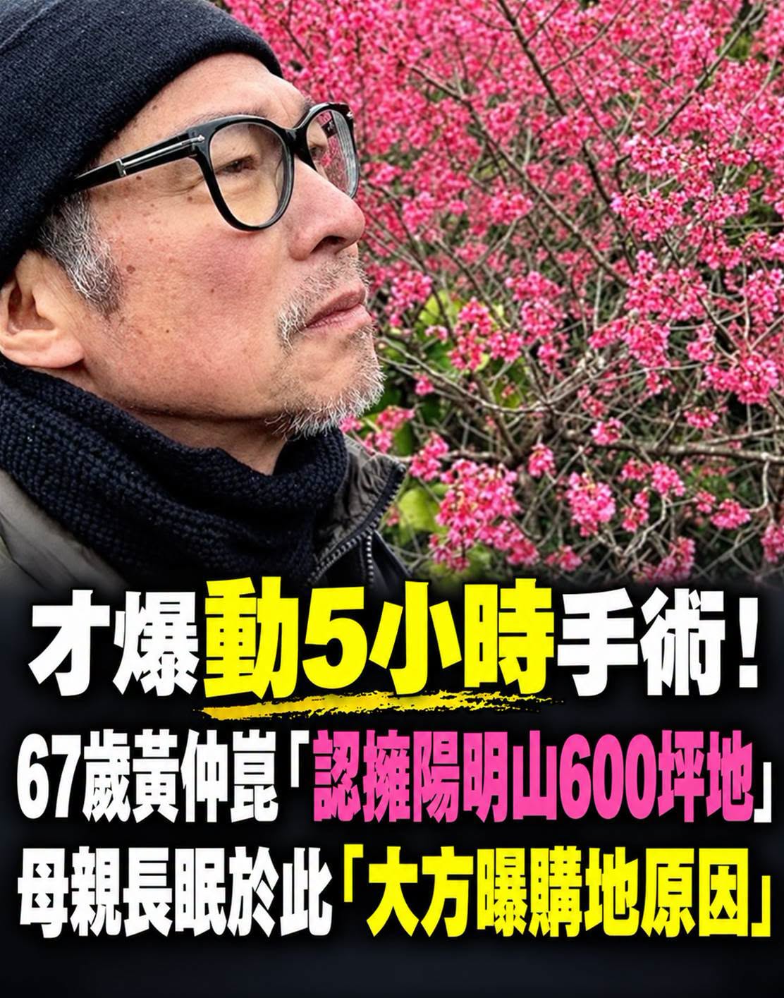 驚爆動5小時手術!67歲黃仲崑「擁陽明山600坪地」,母親長眠於此「大方曝購地原因」
